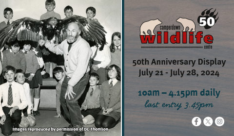 Camperdown Wildlife Centre 50th Anniversary Display